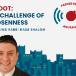 Toldot 5784: The Challenge of Chosenness