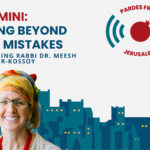 Shemini 5784: Going Beyond Our Mistakes