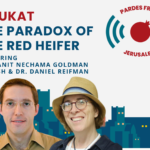 Chukat 5784: The Paradox of the Red Heifer